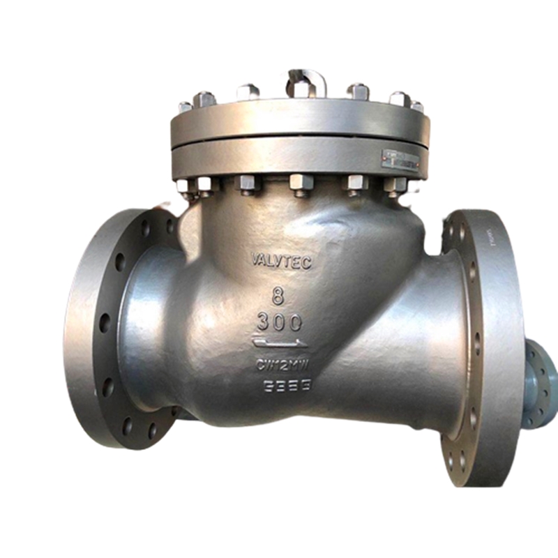 Duplex Steel Check Valve